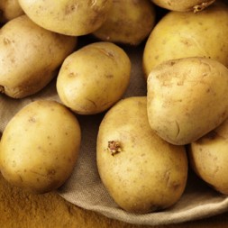 Solanina e patate